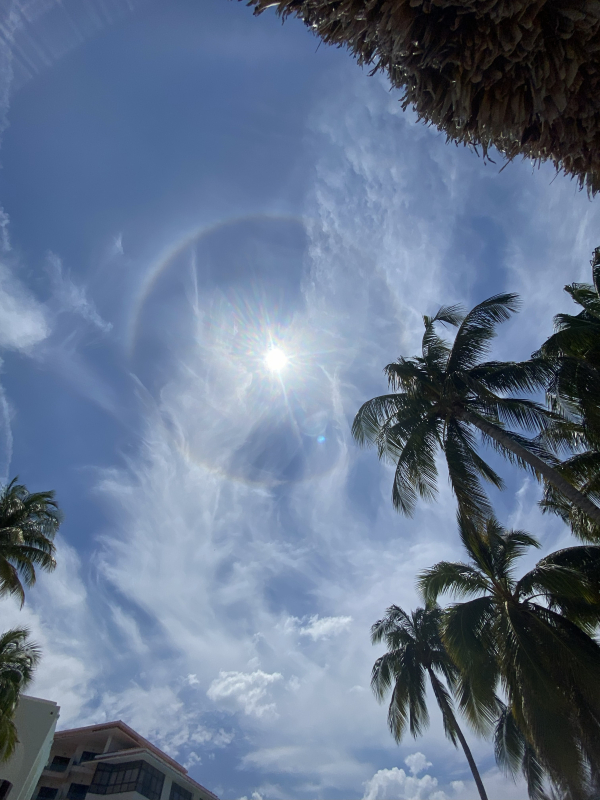 Gefhle steuern lernen