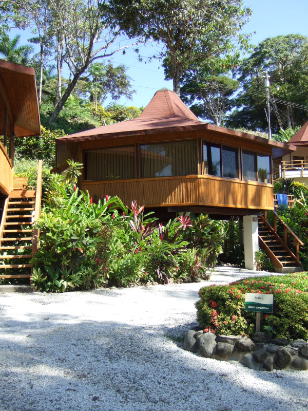 Unsere Haut als Schutz-Grenze zur Au�enwelt und 